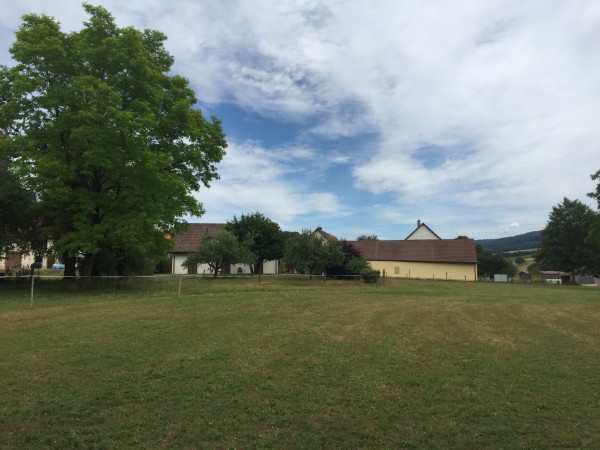 Vue sur le terrain concerné par le plan spécial à Rocourt